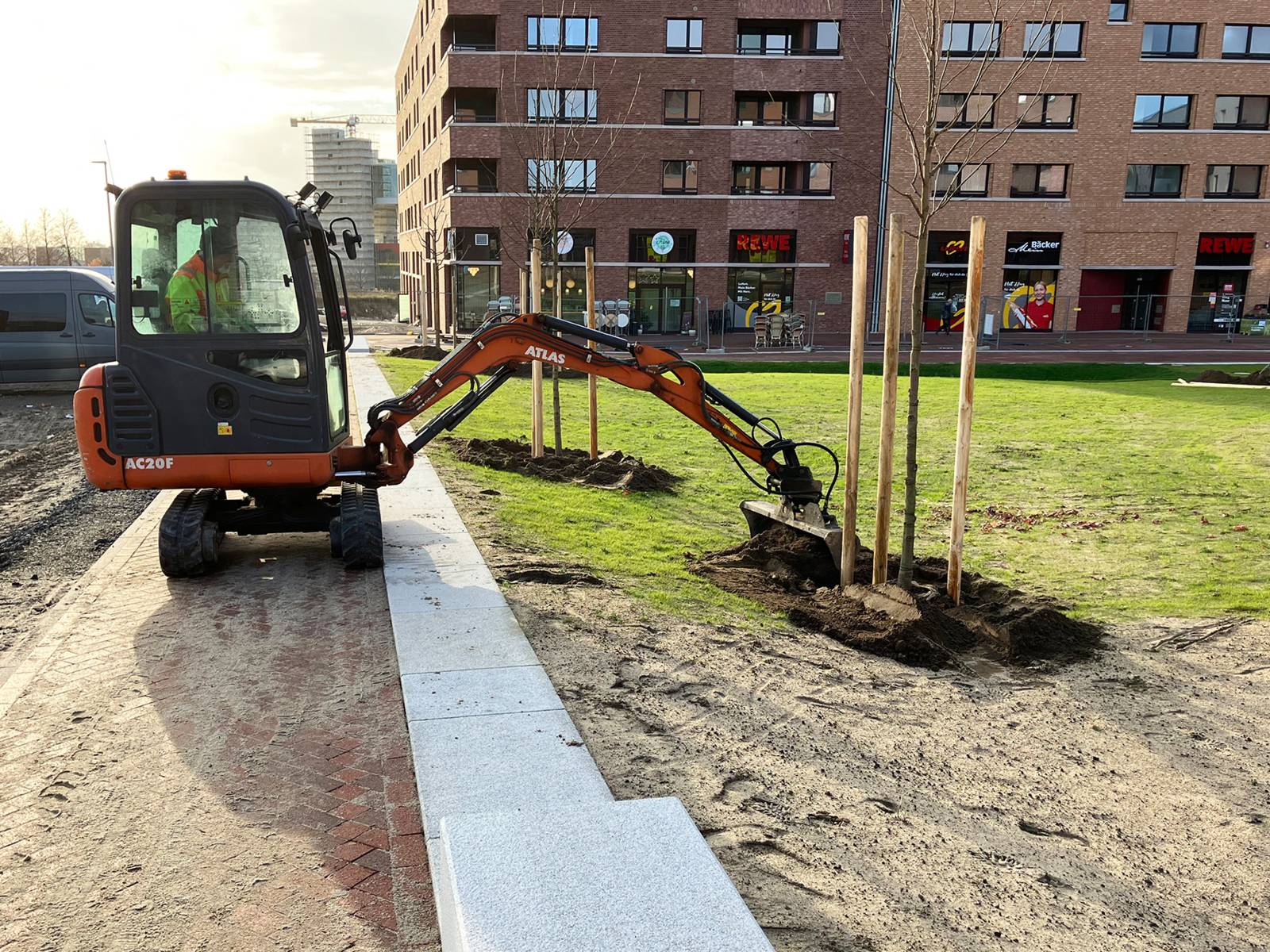 Junge Bäume vor einem Wohngebäude. Ein Bagger pflanzt sie ein.