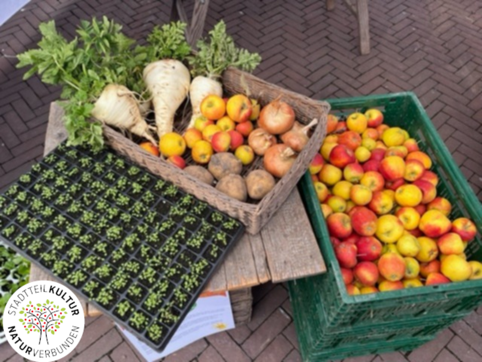 Körbe mit Äpfeln, Zwiebeln, Kartoffeln und Sellerie.
