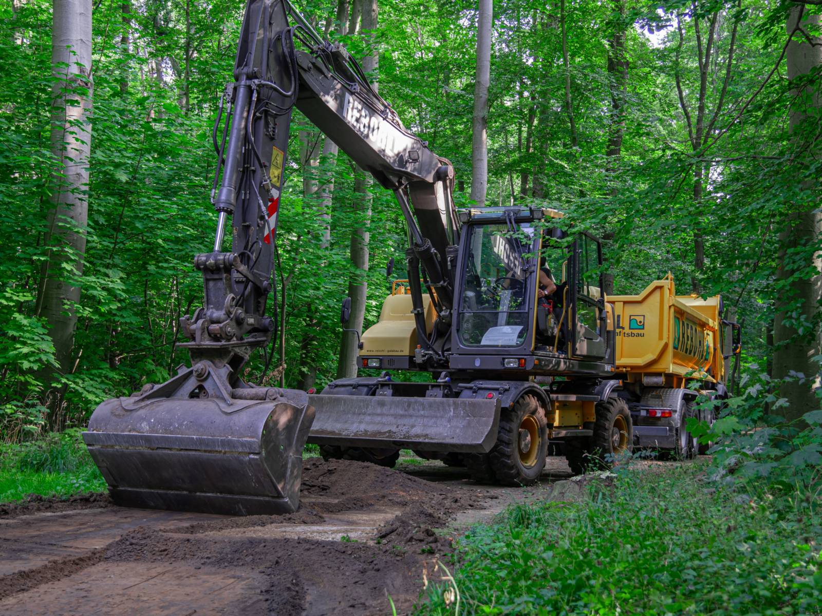 Ein großer Bagger steht in einem Wald.