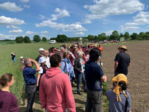 Menschen auf einem Feld.