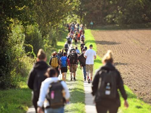 Menschen wandern über einen Feldweg.