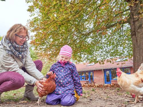 Ein Frau hält ein Huhn fest, damit eine Kind es streicheln kann, zwei weitere Hühner schauen zu