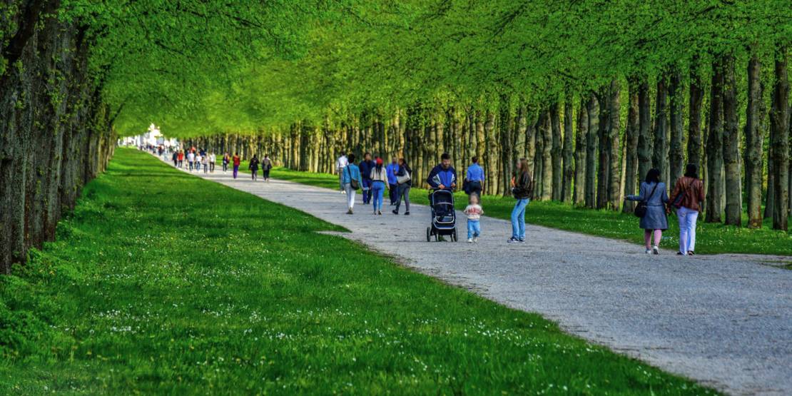 Grüne Herrenhäuser Allee im Frühling