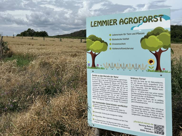 Schild auf einem Feld