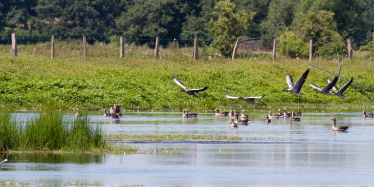 Steinhuder Meer Panorama | Naherholung | Bilder Region Hannover ...